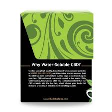 Buddha Teas Matcha Green CBD Tea